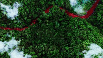 Green Blood: Journalists Killed or Silenced for Environmental Reporting